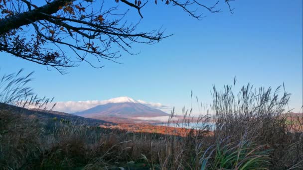 五彩缤纷的秋天 日本富士山 山崎湖 — 图库视频影像