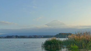 Japonya 'da Fuji Dağı ile gölün etrafında renkli bir sonbahar.