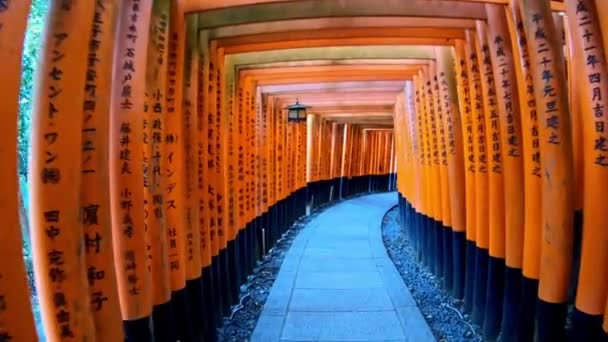 Fushimi Enare Helgedom Torii Kyoto Japan — Stockvideo