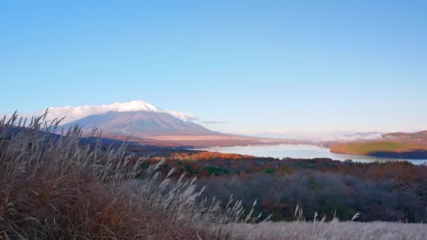 Farbenfroher Herbst Mit Dem Berg Fuji Japanischen Yamanakako See — Stockvideo
