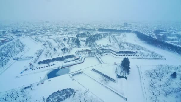Časová Prodleva Města Sapporo Zimě Japonsko — Stock video