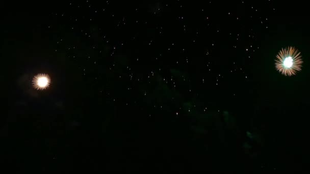 Krásný Ohňostroj Noční Obloze Stock Video