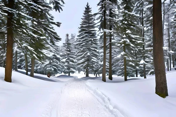 Снежные Зимние Пейзажи Красивого Пейзажа Деревьями — стоковое фото