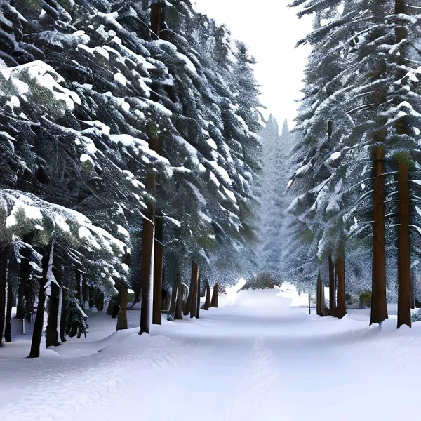 Зимний Пейзаж Деревьями Графическая Иллюстрация — стоковое фото