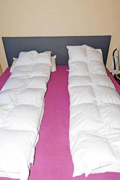 Household icon picture: neatly made beds
