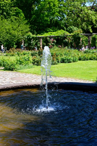 Fontaine Une Source Dans Parc — Photo