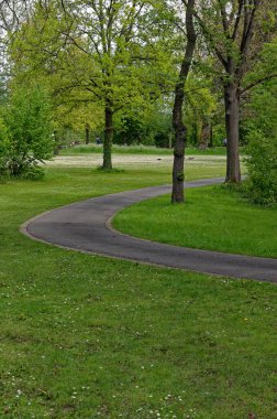 Yol parktaki ağaçların arasından esiyor.
