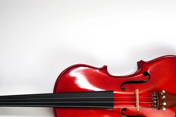 Close Violin White Background Copy Space Instrument Musical Concept — Stock Photo, Image