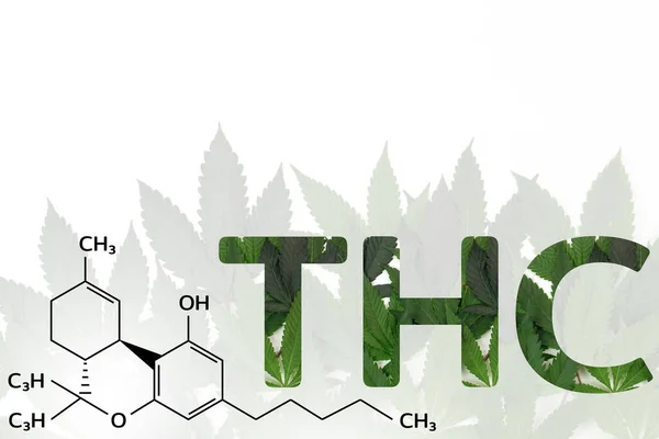 Fresh Cannabis Leaf Marijuana White Background Chemical Formula Letters Thc — Stock Photo, Image