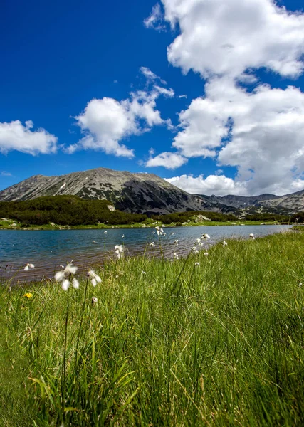 dağ gölü, dağlar, doğa, panorama, zirve, gökyüzü, seyahat, pirin, pirin milli parkı, bansko gezegeni, güzel gezegen, seyahat fotoğrafı, güzel yerler Bulraria doğa çiçekleri dağlarda çiçekler güzel çiçekler bulutlar göl