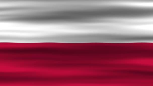 Nahtlose Schleifenanimation Der Polnischen Flagge Fahnenschwenken Wind Perfekt Für Videos — Stockvideo