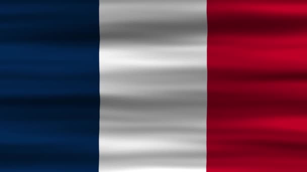 Nahtlose Schleifen Animation Der Frankreich Flagge Die Wind Weht Perfekt — Stockvideo