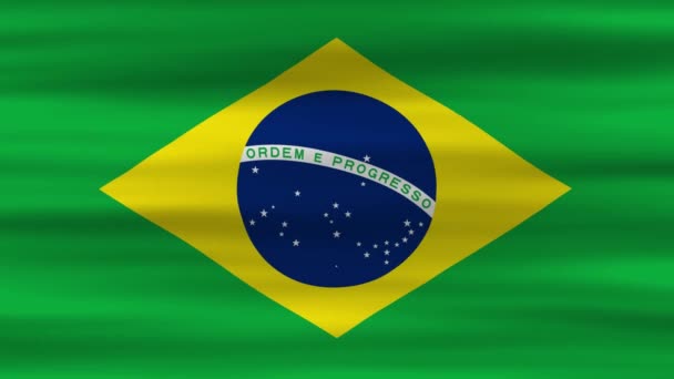 Animação Loop Sem Costura Bandeira Brasil Bandeira Acenando Vento Perfeito — Vídeo de Stock