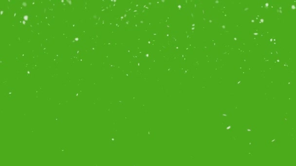 Snowfall Επικάλυψη Πράσινο Φόντο Οθόνη Ρεαλιστικός Χειμώνας Που Πέφτει Αργά — Αρχείο Βίντεο