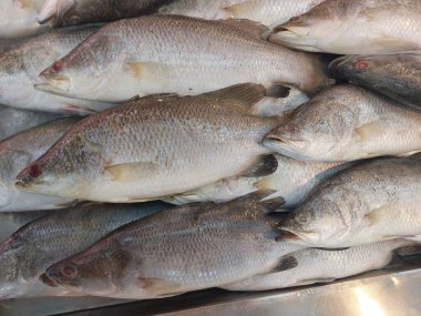 Piyasada buzda taze balık satışı