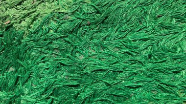 Yeşil halı doku çim yakın çekim