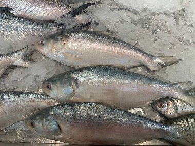 Piyasada buzlu çiğ beyaz balık.