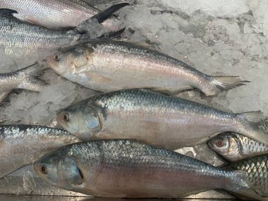 Piyasada buzlu çiğ beyaz balık.