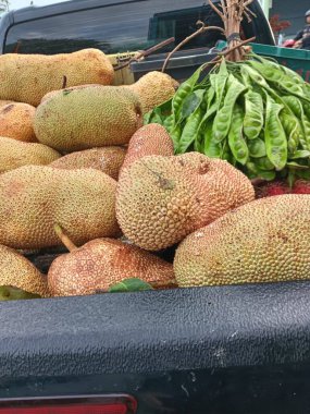 Malezya, Penang 'da tezgah rafında satılık Cempedak yığını. Cempedak, Malezya 'da önemli bir üründür ve Güney Tayland ve Endonezya' nın bazı bölgelerinde de yaygın olarak yetiştirilir..