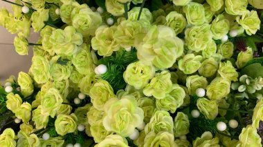 sarı gül çiçeklerine bak, seçici odak.