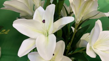 Sahte Lily manzarası, beyaz ve güzel ama gerçek değil..