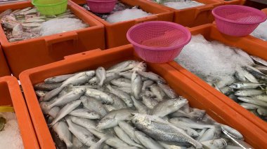 Portakallı kutuda buzda taze deniz ürünleri görmek. Süpermarkette satılık.