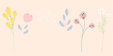 Set of differents flowers on pink background.Wild flowers vector collection.Colorful flat vector illustration.