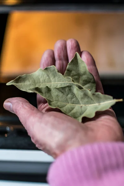 Hand holding bay leaves in front of an oven in a kitchen, dryed leaves, cooking with bay leaves, eliminate bad smells
