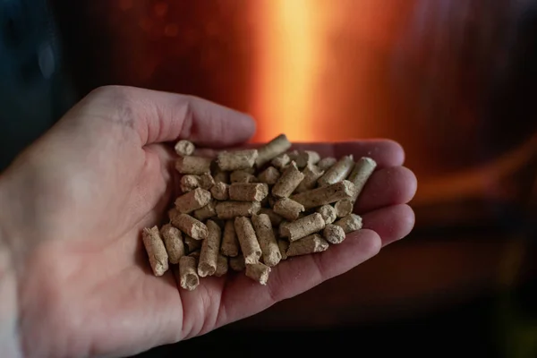 Hand Holding Pellets Front Glass Stove Beautiful Flame — Stock Photo, Image
