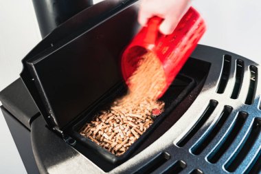 Topaklara yakın çekim, siyah evcil topak, el granülleri ile doldurulan adam kırmızı 3 boyutlu baskılı fincan.