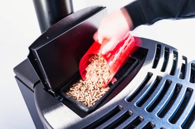 Topaklara yakın çekim, siyah evcil topak, el granülleri ile doldurulan adam kırmızı 3 boyutlu baskılı fincan.