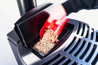 Topaklara yakın çekim, siyah evcil topak, el granülleri ile doldurulan adam kırmızı 3 boyutlu baskılı fincan.