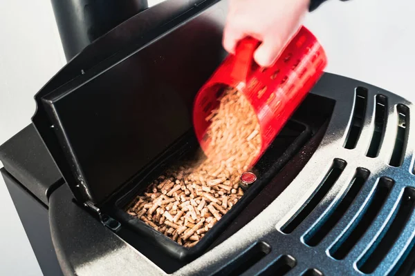 Topaklara yakın çekim, siyah evcil topak, el granülleri ile doldurulan adam kırmızı 3 boyutlu baskılı fincan.