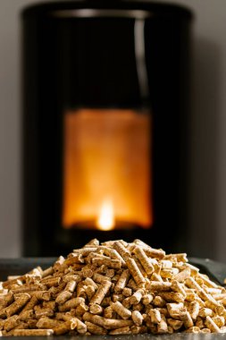 Modern domestic pellet stove, granules stove with flames