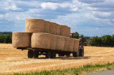 Yazın kırsal alanda, buğday tarlasında saman yığınları.