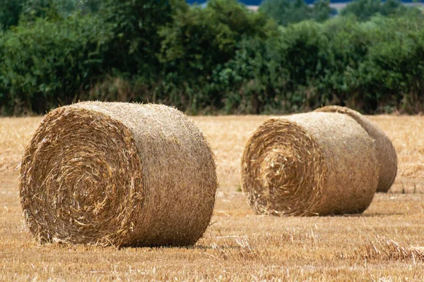 Haystacks Ένα Χωράφι Σιτάρι Καλοκαίρι Αγροτική Σκηνή — Φωτογραφία Αρχείου