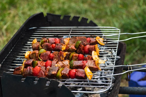 Rauw Vlees Net Barbecue Vleesspies Met Gesneden Groenten — Stockfoto