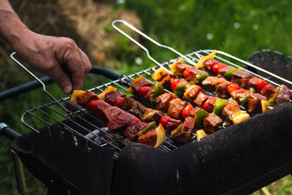 Raw Meat Just Put Barbecue Meat Skewer Diced Vegetables — Stock Photo, Image