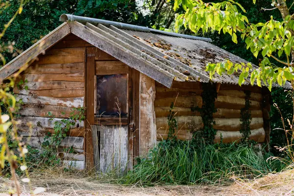Mooie Zelfgebouwde Houten Hut Een Bosrijke Tuin — Stockfoto