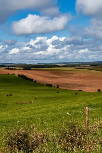 Vackra Kuperade Franska Landsbygden Landskap Äng Fält Horisont Och Himmel — Stockfoto