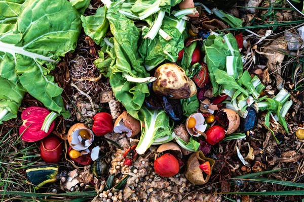 Gübre yığını, organik atıklar, sebze, meyve, yumurta kabuğu, kahve gibi biyolojik olarak ayrıştırılabilir atıklar.