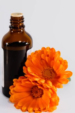 Beyaz arka planda Calendula officinalis çiçekleri ve yağ şişesi, asteraceae, calenduleae