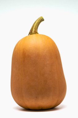 Butternut, beyaz arka planda sağlıklı kabak, cucurbita moschata