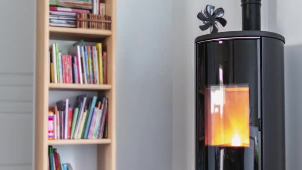 Timelapse Pellet Stove Living Room Bookcase Heat Diffuser — Stock Video