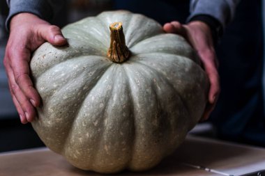 Güzel yeşil balkabağı, sağlıklı beslenmeye hazır.