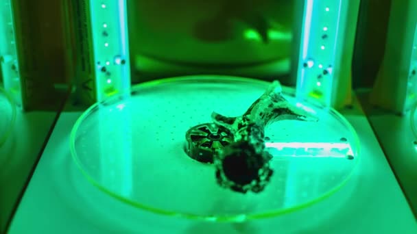 用紫外光照射灭菌机转制鹿角3D树脂印模的时间间隔 — 图库视频影像