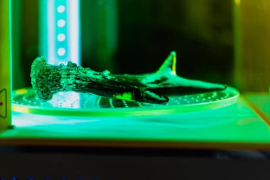 3d resin printing of a deer antler turning in a cure machine using UV light clipart
