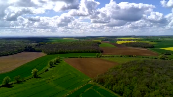 Drönare Flyger Över Fält Våren Med Vacker Himmel Roterande Effekt — Stockvideo