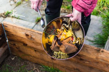 Biyolojik gübre yapmak ve sınıflandırmak için sebze, meyve, yumurta kabuğu, kahve telvesi gibi mutfak atıkları koyan kişi