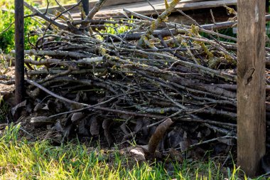Kuru çit ya da bakım budama dallarından yapılmış Benjes çiti, ölü ahşap ve kökler, bakımsız çit, sıfır atık, yükselme, ekolojik, yaban hayatına hoş geldin.